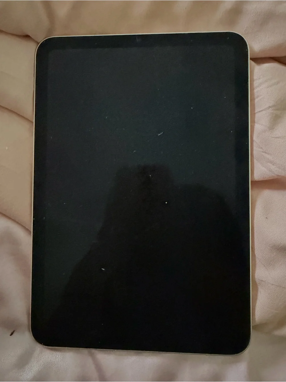 Apple iPad in Gold Back with Black Camera Accent
